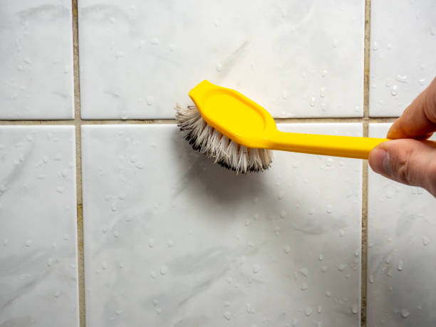 Best Certified Mold Removal  in Simmesport, LA
