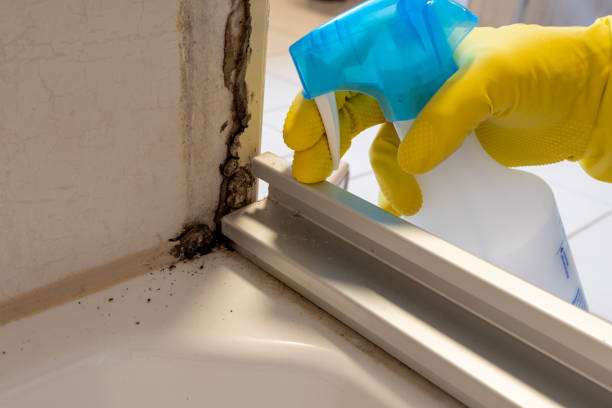 Best Mold Cleaning Services  in Simmesport, LA